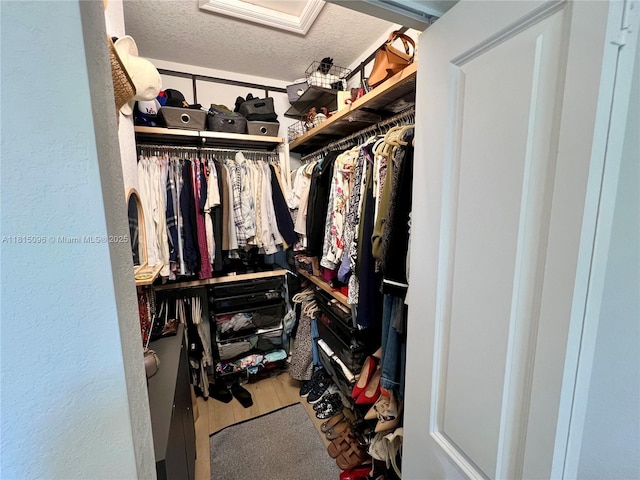 12254 NW 24th Pl, Miami, FL 33167 - walk in closet featuring wood finished floors