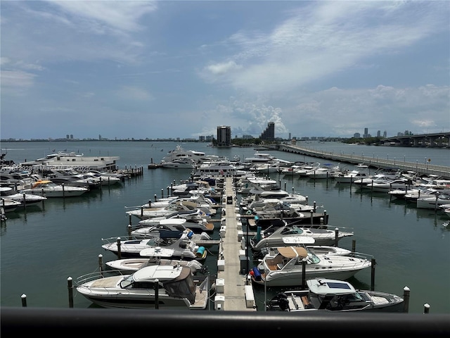 555 NE 15th St Unit 515, Miami, FL 33132 - water view with a boat dock and numerous boat docks