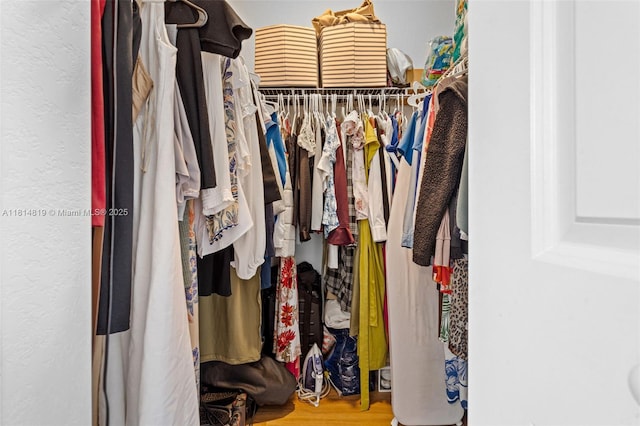 12945 SW 234th St, Homestead, FL 33032 - view of spacious closet