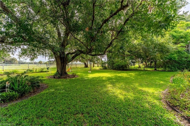 4559 Springview Cir, La Belle, FL 33935 - view of yard