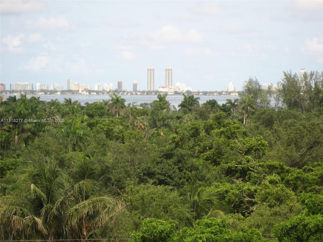5701 Biscayne Blvd Unit 701, Miami, FL 33137 - skyline view