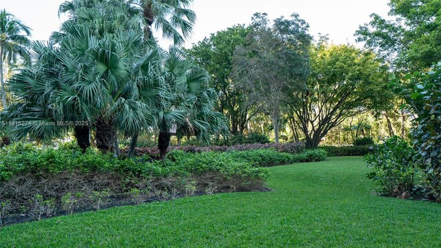 4000 Towerside Ter Unit 2201, Miami, FL 33138 - view of grassy yard