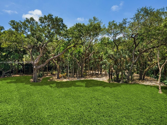 5355 Hammock Dr, Coral Gables, FL 33156