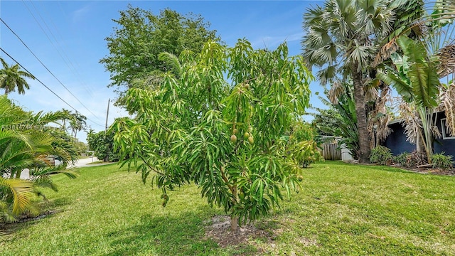 2700 SW 34th Ave, Fort Lauderdale, FL 33312 - photo 73