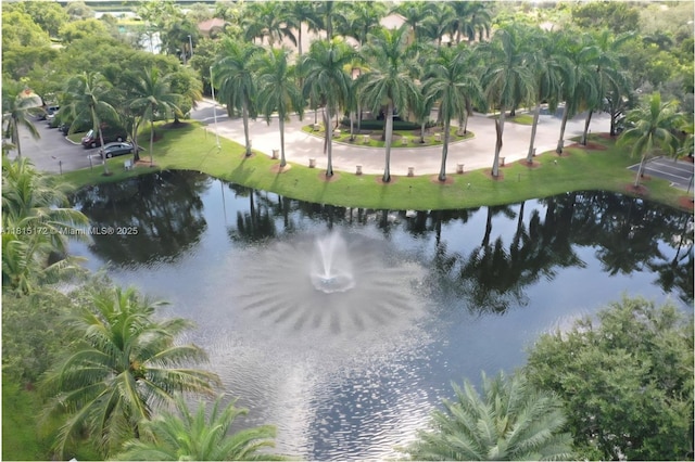 14420 NW 16th St, Pembroke Pines, FL 33028 - water view