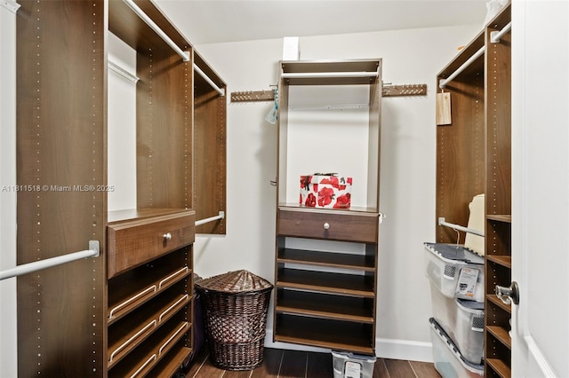 875 NW 108th Ln, Coral Springs, FL 33071 - walk in closet featuring wood finished floors