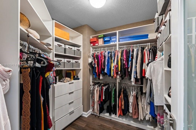 127 Swan Ave, Plantation, FL 33324 - spacious closet with wood finished floors