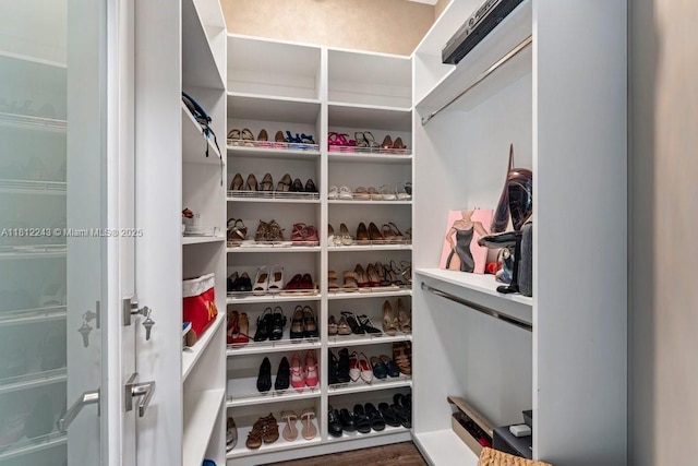 127 Swan Ave, Plantation, FL 33324 - view of walk in closet