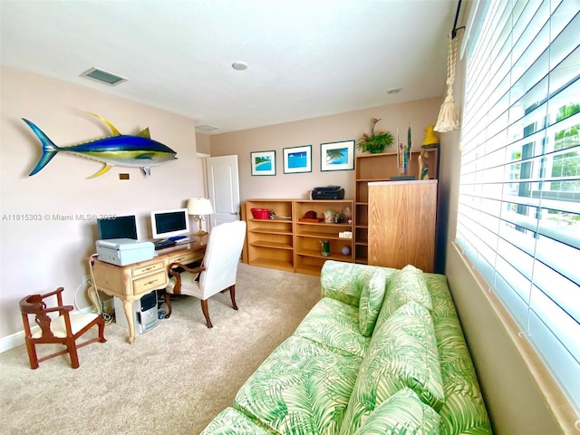 7702 Paddock Pl, Davie, FL 33328 - carpeted office featuring plenty of natural light