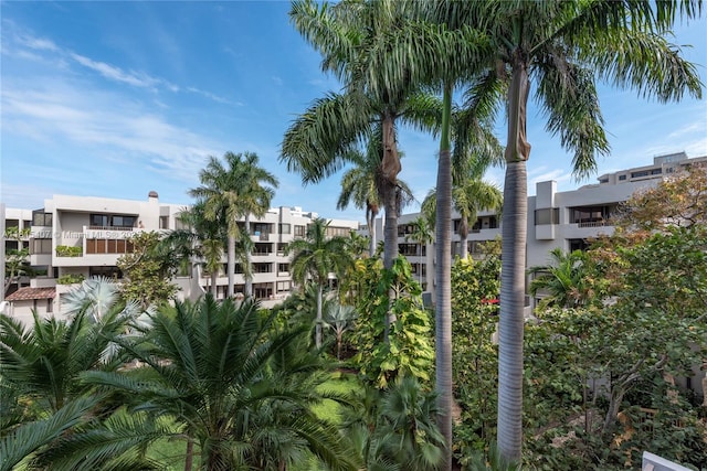 181 Crandon Blvd Unit 306, Key Biscayne, FL 33149 - view of property