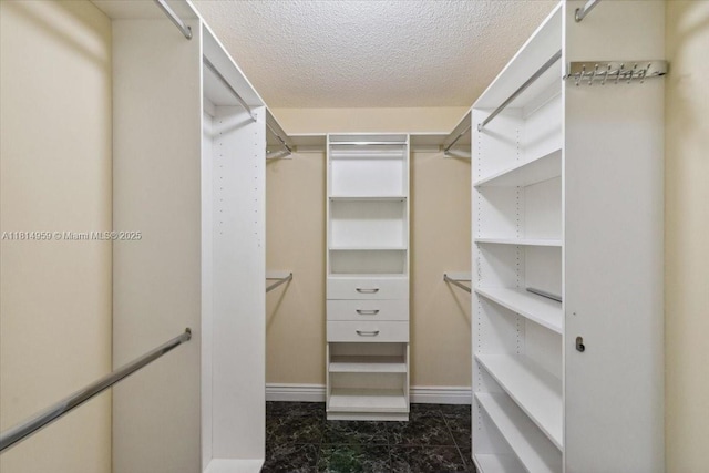 17610 SW 4th Ct, Pembroke Pines, FL 33029 - view of walk in closet