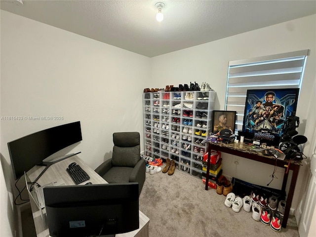 25211 SW 108th Ave, Homestead, FL 33032 - photo 49