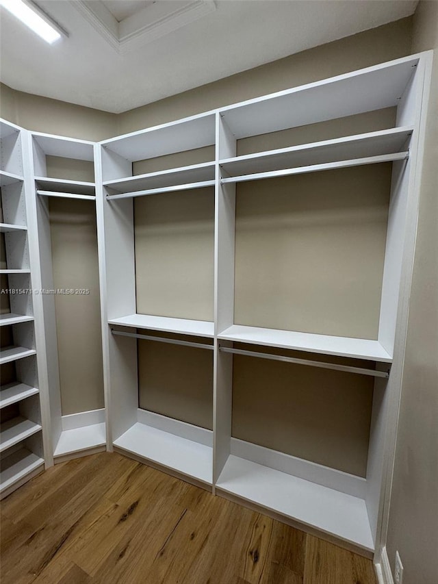 3063 NW 126th Ave, Sunrise, FL 33323 - walk in closet featuring wood finished floors