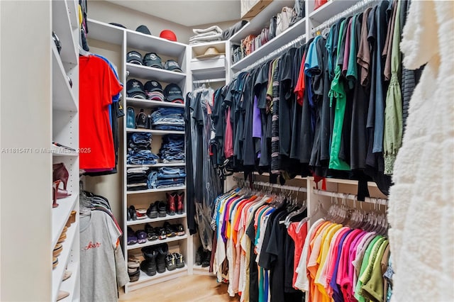 3063 NW 126th Ave, Sunrise, FL 33323 - spacious closet featuring wood finished floors