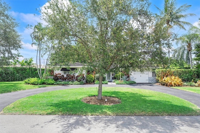 700 Vilabella Ave, Coral Gables, FL 33146 - photo 6