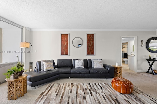 3850 E Oaks Clubhouse Dr Unit 504, Pompano Beach, FL 33069 - living area featuring light colored carpet, a textured ceiling, crown molding, and baseboards