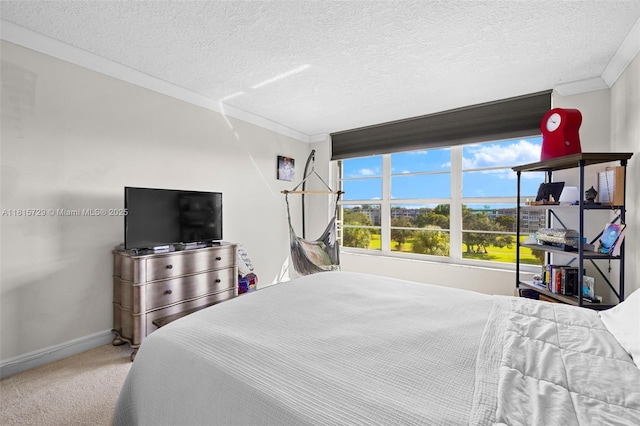 3850 E Oaks Clubhouse Dr Unit 504, Pompano Beach, FL 33069 - carpeted bedroom featuring crown molding, baseboards, and a textured ceiling