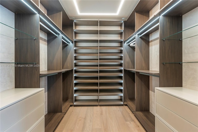 1300 Brickell Bay Dr Unit 4400, Miami, FL 33131 - walk in closet featuring light wood-style flooring