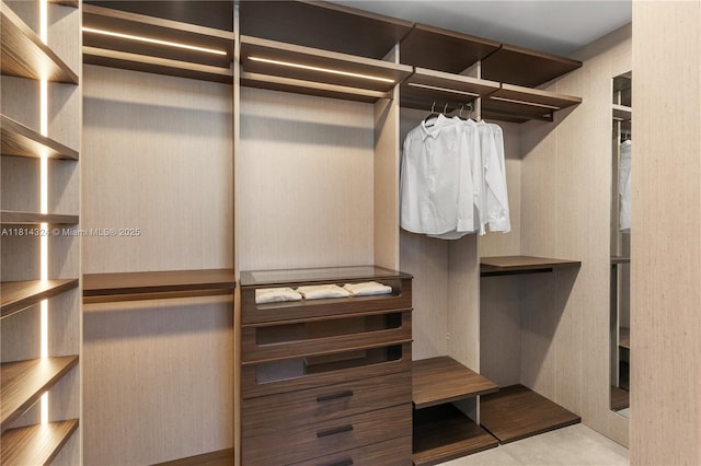 1300 Brickell Bay Dr Unit 4400, Miami, FL 33131 - view of walk in closet