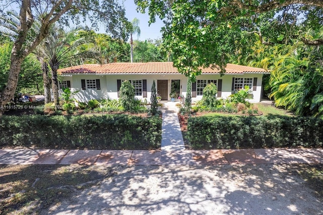 1551 Delgado Ave, Coral Gables, FL 33146 - photo 2