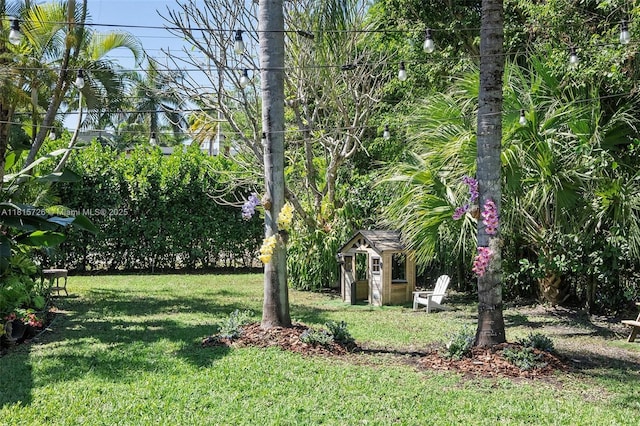1551 Delgado Ave, Coral Gables, FL 33146 - photo 4