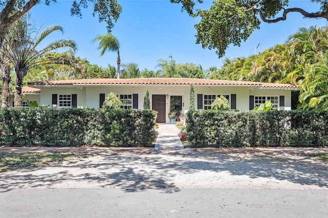 1551 Delgado Ave, Coral Gables, FL 33146 - photo 5