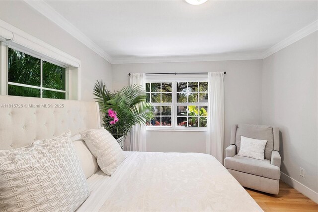 1551 Delgado Ave, Coral Gables, FL 33146 - photo 8
