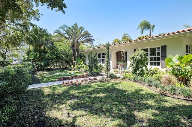 1551 Delgado Ave, Coral Gables, FL 33146 - photo 13
