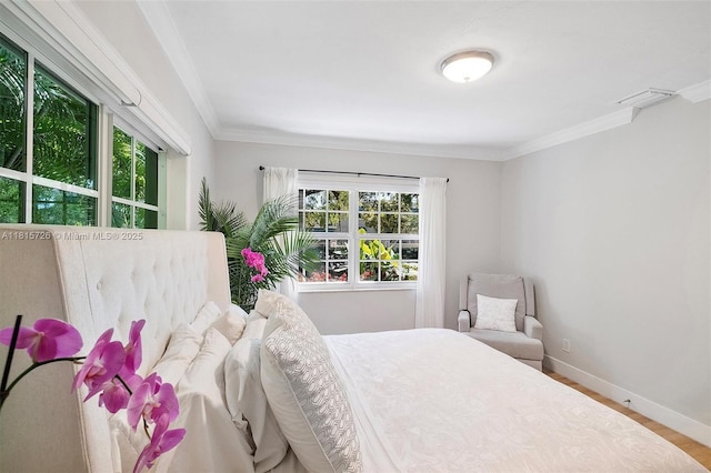 1551 Delgado Ave, Coral Gables, FL 33146 - photo 18