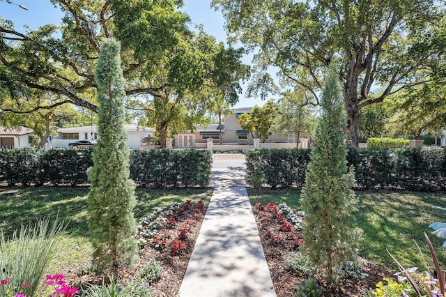 1551 Delgado Ave, Coral Gables, FL 33146 - photo 25