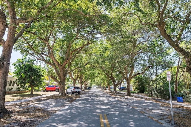 1551 Delgado Ave, Coral Gables, FL 33146 - photo 48