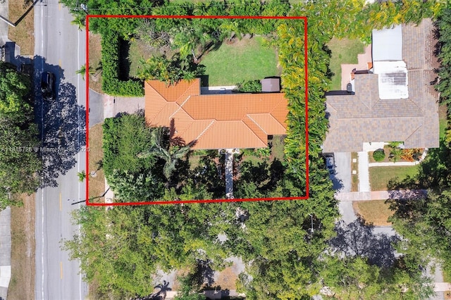 1551 Delgado Ave, Coral Gables, FL 33146 - photo 52