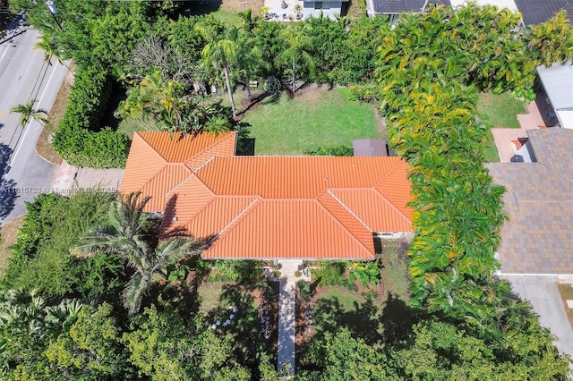 1551 Delgado Ave, Coral Gables, FL 33146 - photo 57