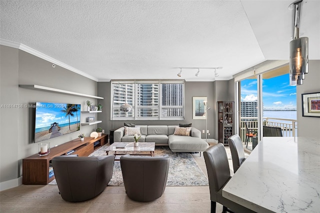 2000 N Bayshore Dr Unit 1011, Miami, FL 33137 - living area featuring crown molding, rail lighting, a textured ceiling, and baseboards