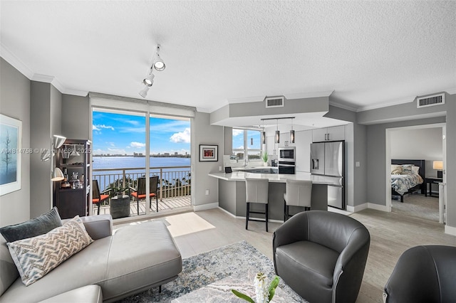 2000 N Bayshore Dr Unit 1011, Miami, FL 33137 - living room with light wood finished floors, a water view, rail lighting, crown molding, and baseboards
