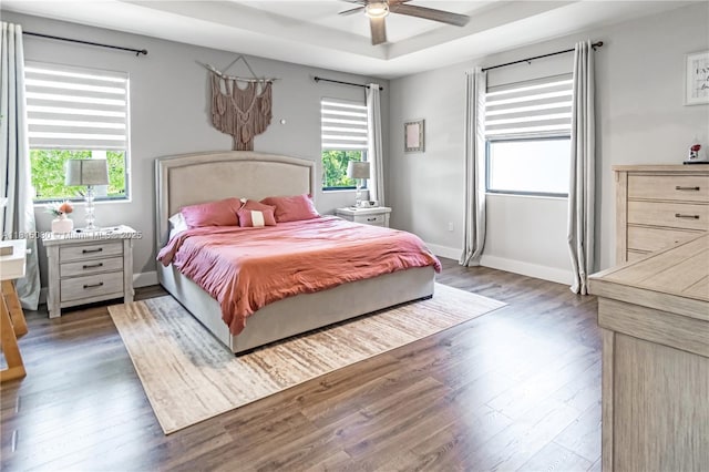 724 SE 37th Ave, Homestead, FL 33033 - bedroom with wood finished floors, multiple windows, a tray ceiling, and baseboards