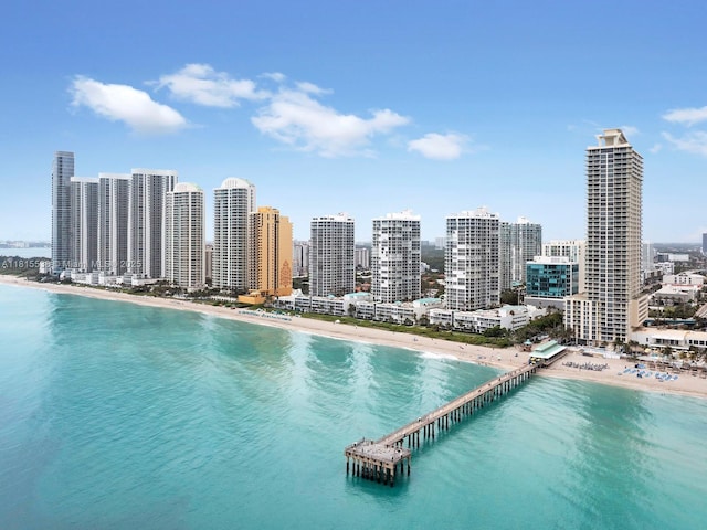 16699 Collins Ave Unit 2906, Sunny Isles Beach, FL 33160 - view of pool with view of water and beach and a skyline view