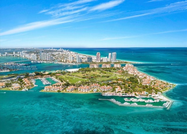 2124 Fisher Island Dr Unit 2124, Miami Beach, FL 33109 - view of urban area with a nearby body of water