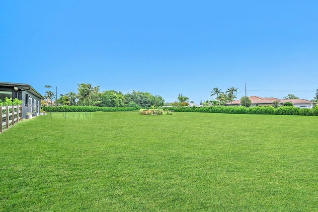 13711 SW 29th St, Davie, FL 33330 - view of yard
