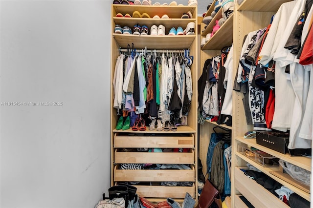 22618 SW 94th Path, Cutler Bay, FL 33190 - view of spacious closet
