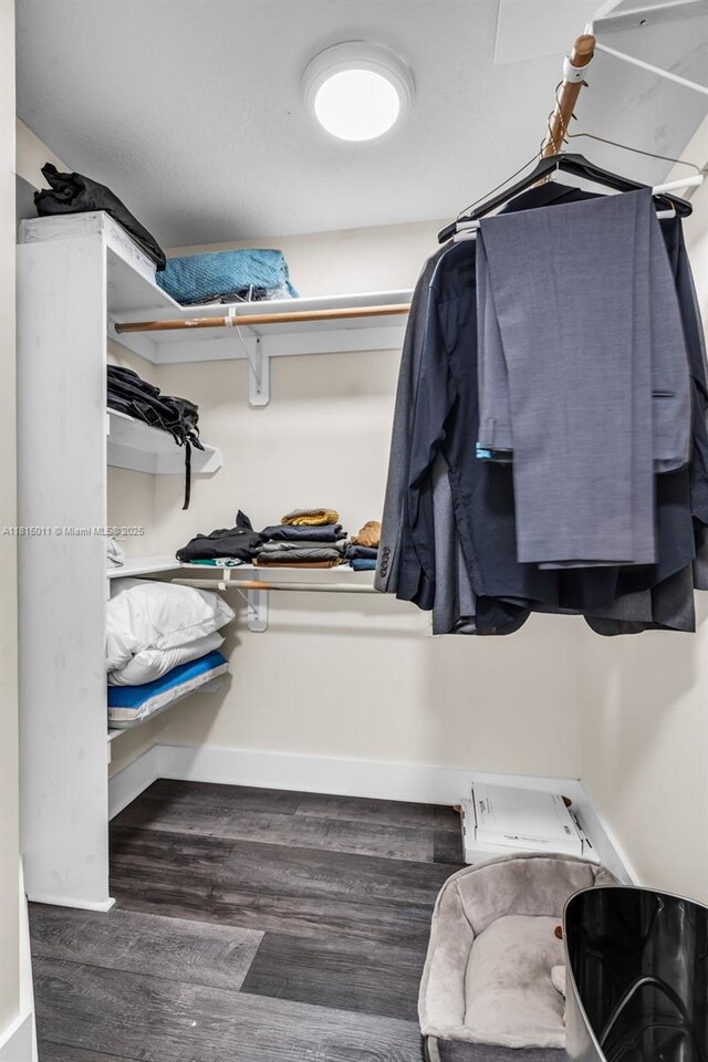 3145 Day Ave Unit 1, Miami, FL 33133 - spacious closet with wood finished floors