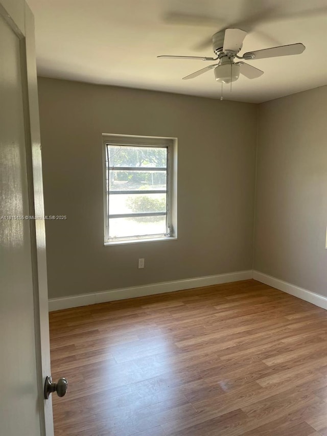 8000 NE 8th Ct, Miami, FL 33138 - photo 11