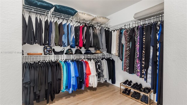 1981 NW 171st Ave, Pembroke Pines, FL 33028 - walk in closet with wood finished floors