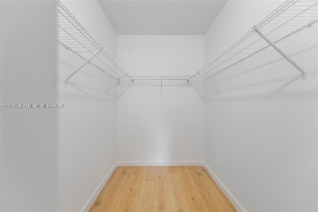9601 Sunrise Lakes Blvd Unit 106, Sunrise, FL 33322 - walk in closet with light wood-type flooring