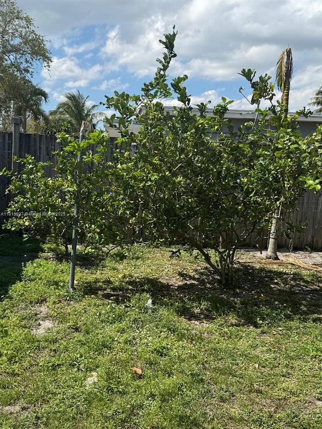 6309 Wiley St, Hollywood, FL 33023 - view of yard