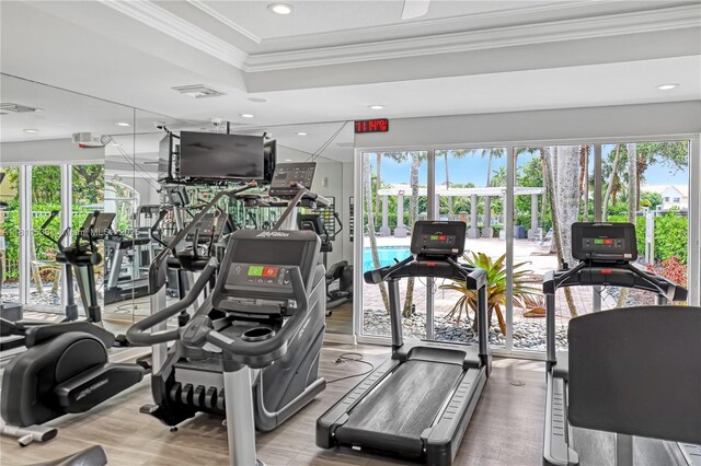 12173 Colony Preserve Dr, Boynton Beach, FL 33436 - workout area featuring healthy amount of natural light, ornamental molding, wood finished floors, and a tray ceiling