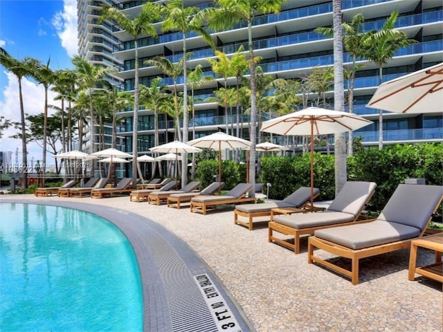 650 NE 32nd St Unit 4701, Miami, FL 33137 - view of community pool
