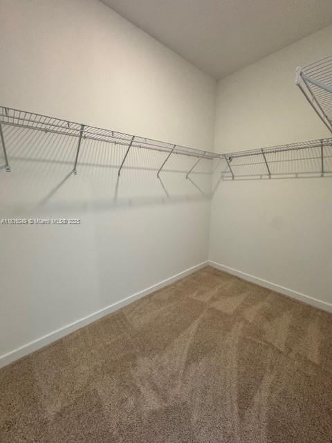 605 NW 6th Ter, Florida City, FL 33034 - spacious closet with carpet