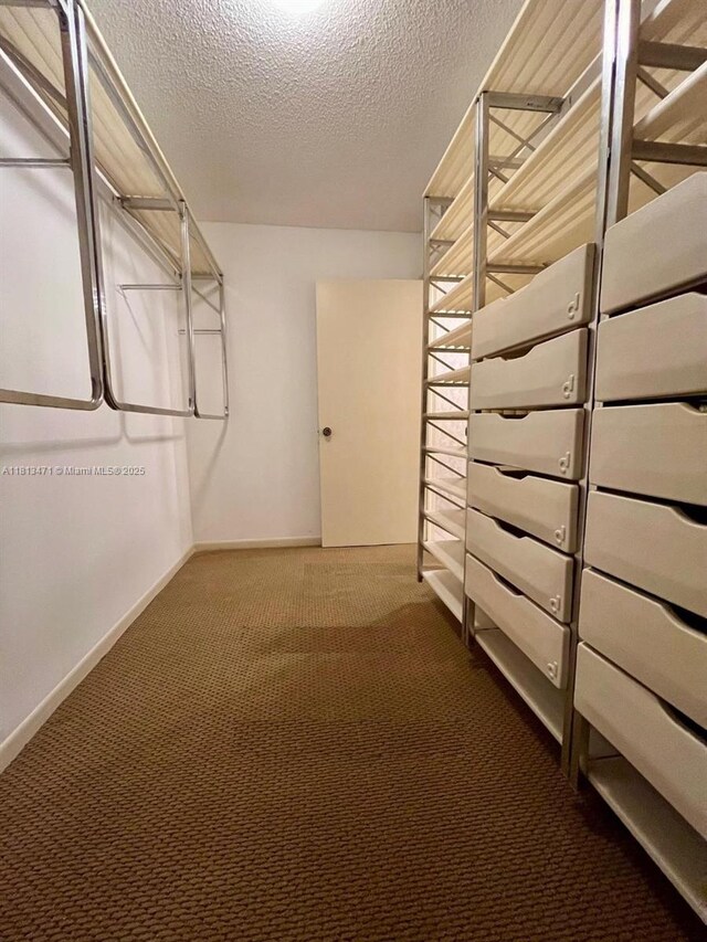 1000 Quayside Te Unit 410, Miami, FL 33138 - walk in closet featuring carpet floors