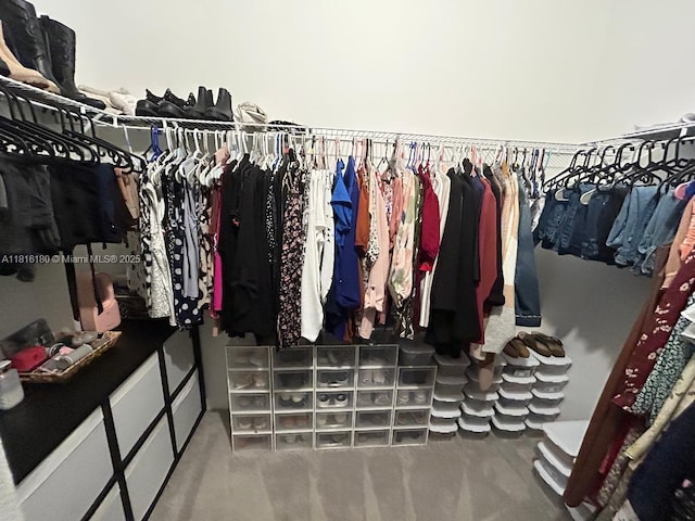 13019 SW 286th Way, Homestead, FL 33033 - spacious closet featuring carpet